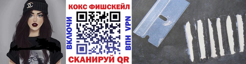 Купить где  Солигалич  COCAIN Fish Scale 