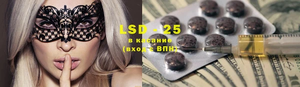 твердый Бородино