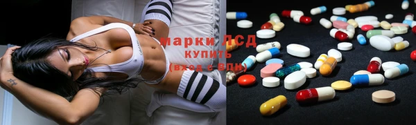 твердый Бородино