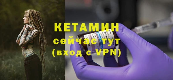 твердый Бородино