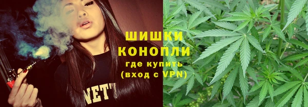 твердый Бородино