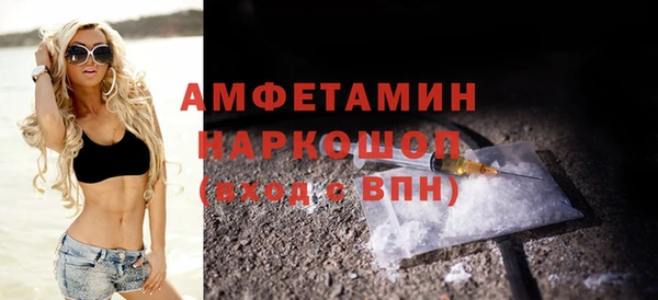 твердый Бородино