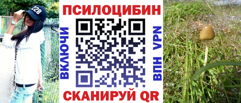 Купить закладки  Солигалич  Псилоцибиновые грибы GOLDEN TEACHER 