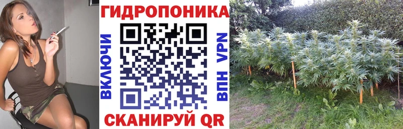 Марихуана AK-47  Купить закладки  Солигалич 